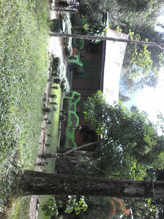 Mega Inn Tangkahan Buitenkant foto